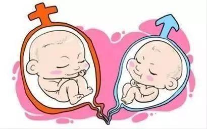 专业拉拉代怀助孕费用多少